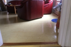 klubbstugan fejas