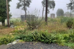 Regn och dimma under torrsättningsdagen, sett från vårt grillhus.
